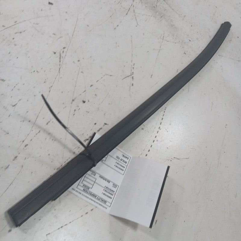Chevy Trailblazer Door Glass Weather Strip Trim Rear Left Driver Back 