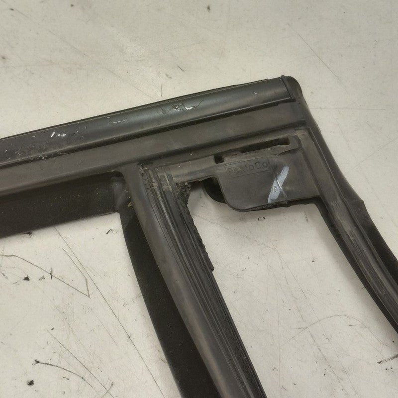 Ford Edge Door Glass Window Seal Rubber Right Passenger Rear Back 2019