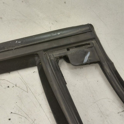 Ford Edge Door Glass Window Seal Rubber Right Passenger Rear Back 2019