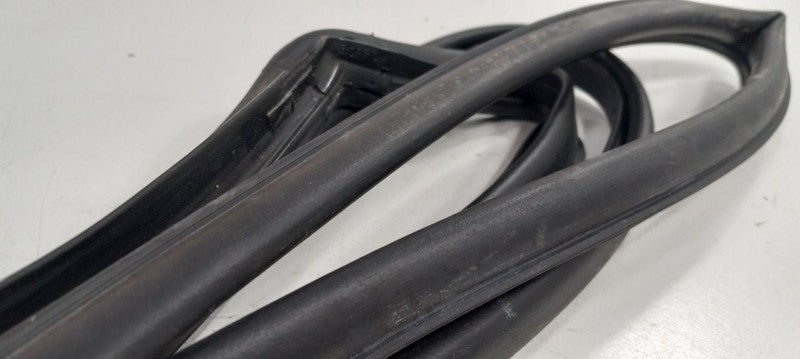 Hyundai Santa Fe On Door Seal Rubber Right Passenger Rear Back 2017 20