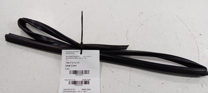 Ford Fiesta Door Glass Window Seal Rubber Right Passenger Rear Back 20