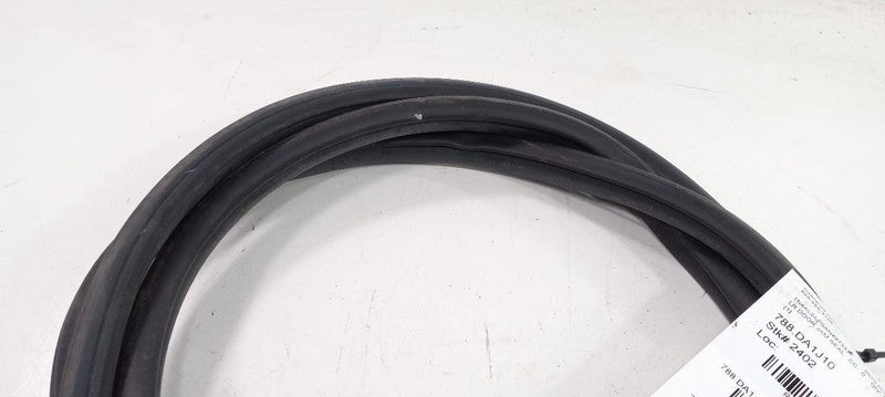 Nissan Altima On Body Door Jamb Seal Rear Left Back 2010 2009 2008 200