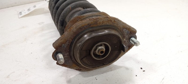 Strut Rear Fits 06-14 TRIBECA  OEM