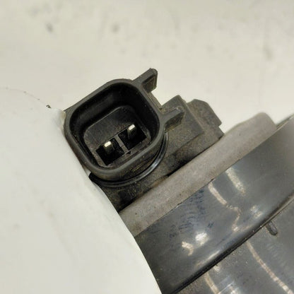 Ford Escape Horn  2022 2023 2024