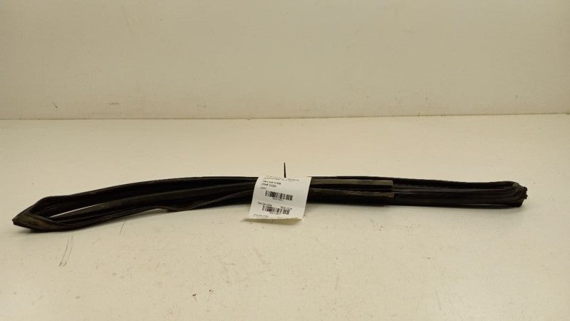 Nissan Sentra Door Glass Window Seal Rubber Right Passenger Front 2007