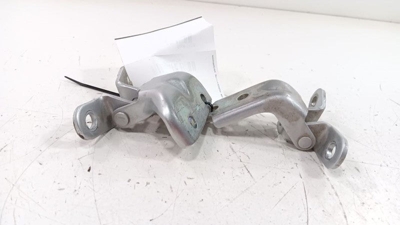 Hyundai Sonata Door Hinge Set Left Rear 2018 2019 OEM