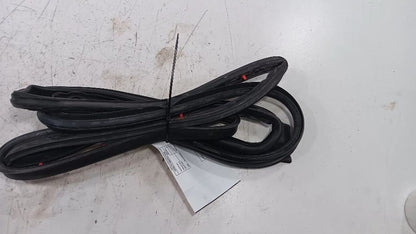 Buick Encore On Door Seal Rubber Left Driver Front  2013 2014 2015 2016
