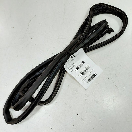 Hyundai Elantra On Door Seal Rubber Right Passenger Rear Back  2024 20