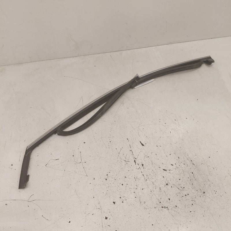 Ford Edge Door Glass Window Seal Rubber Left Driver Front  2018 2017 2
