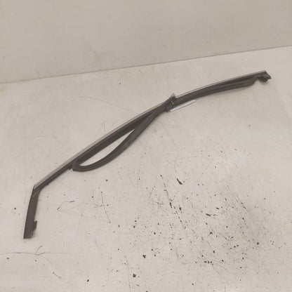Ford Edge Door Glass Window Seal Rubber Left Driver Front  2018 2017 2