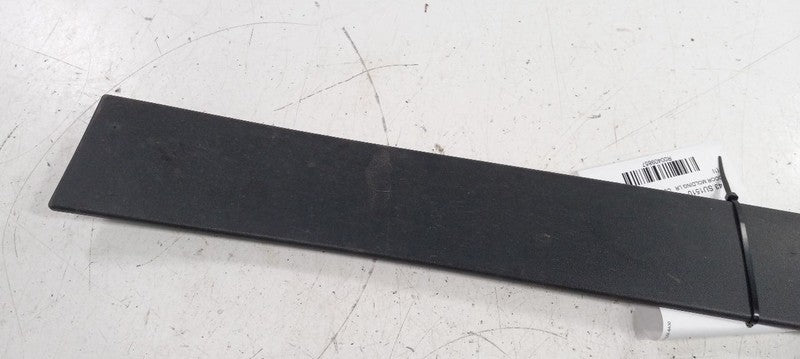 Subaru Tribeca Door Molding Trim Strip Left Side Rear Back 2010 2011 2
