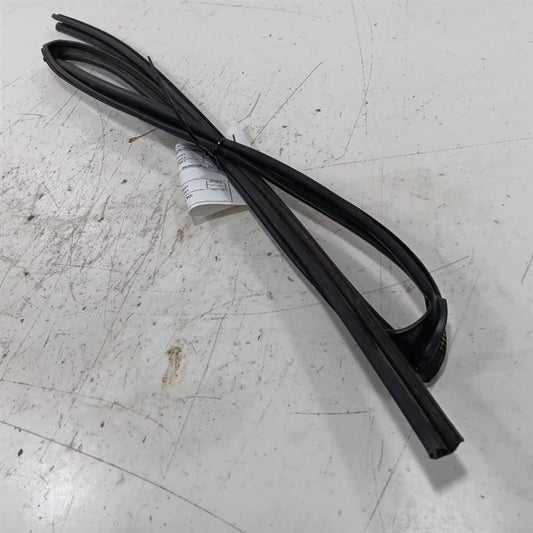 Toyota Rav 4 Door Glass Window Seal Rubber Left Rear Back  2015 2016 2
