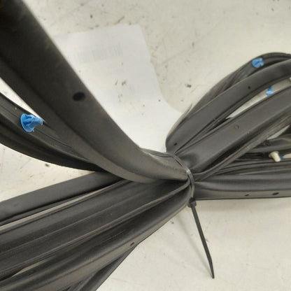 Honda HR-V On Door Seal Rubber Right Passenger Front  2026 2025 2024 2