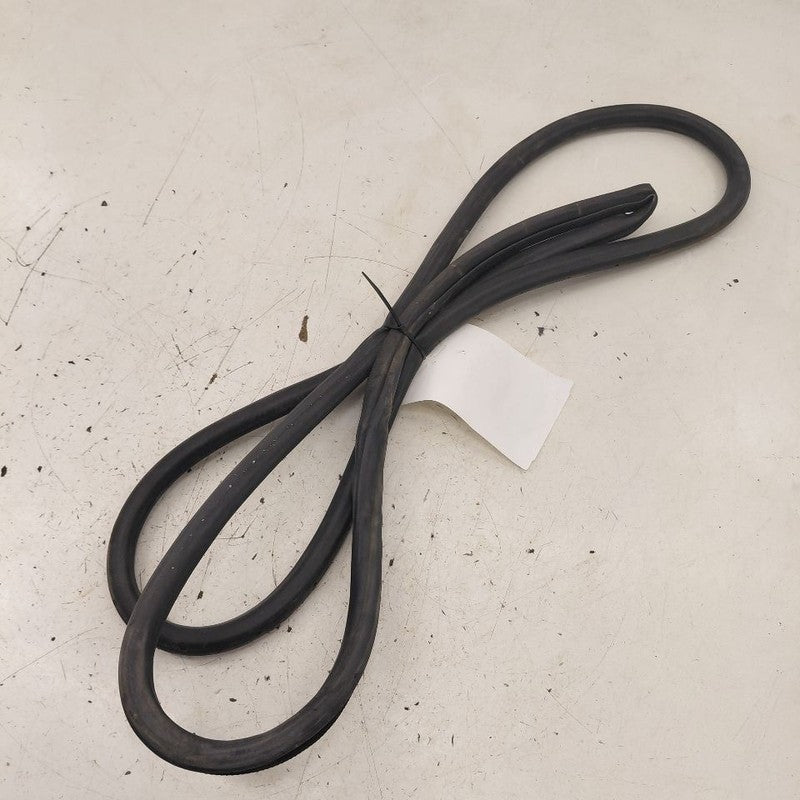 Lexus IS350 On Body Door Jamb Seal Rear Left Driver Back  2020 2019 20