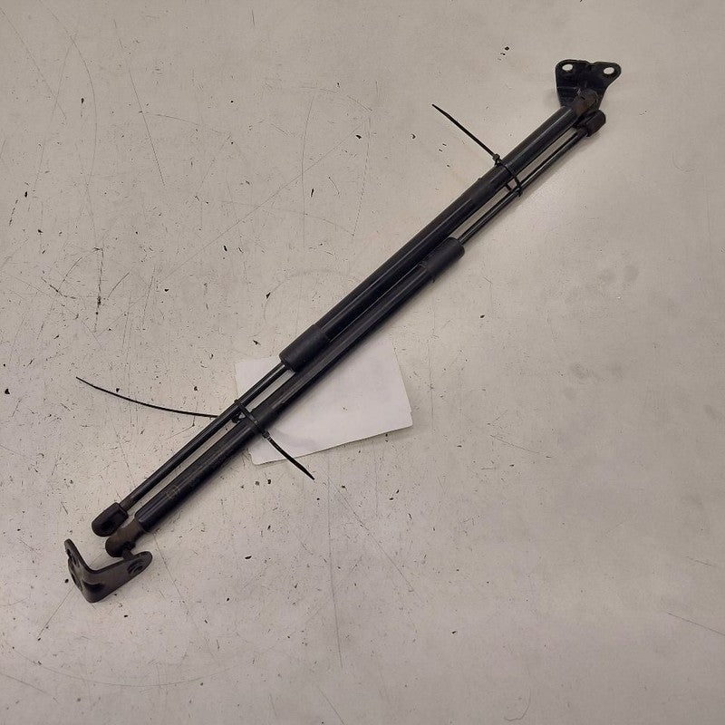 Ford Escape Hatchback Hatch Back Trunk Lid Shock Strut Support  2020 2
