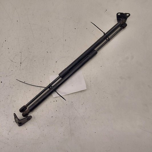 Ford Escape Hatchback Hatch Back Trunk Lid Shock Strut Support  2020 2