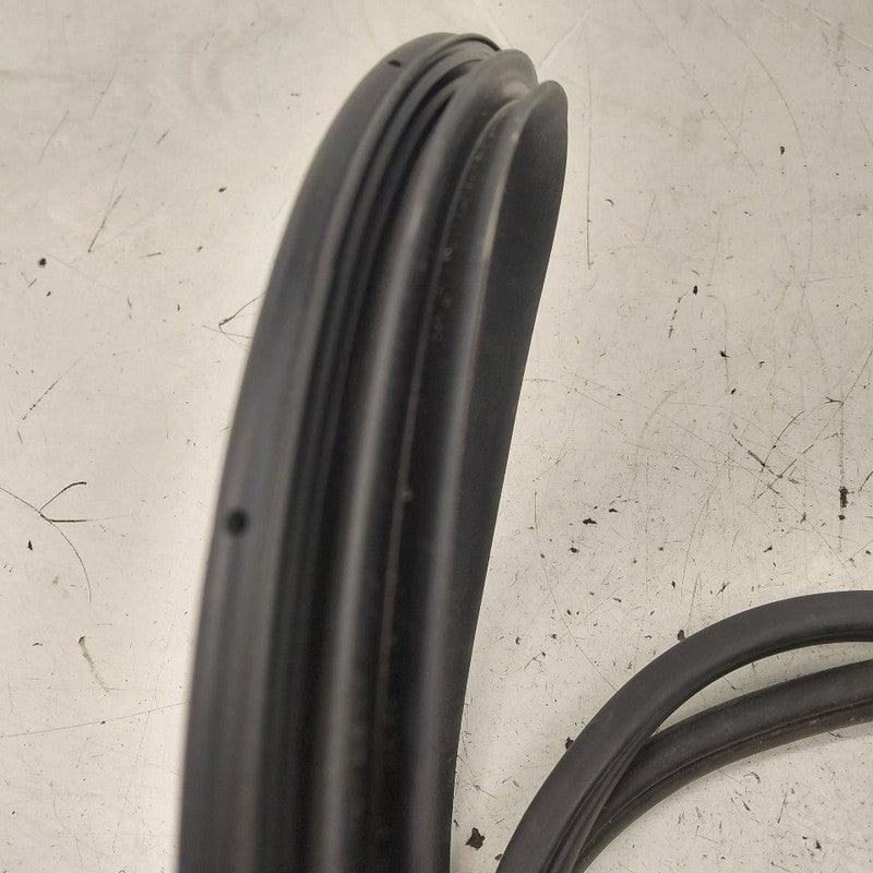 Hyundai Kona On Body Door Jamb Seal Rear Left Driver Back  2021 2020 2