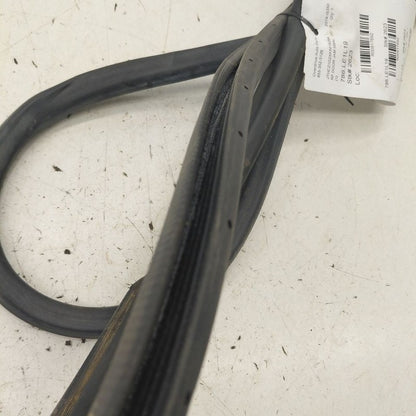 Lexus IS350 On Body Door Jamb Seal Front Right Passenger  2020 2019 20