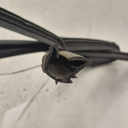 Nissan Rogue Door Glass Window Seal Rubber Right Passenger Rear Back  