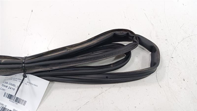 Chevrolet Equinox On Door Seal Rubber Right Passenger Rear Back 2018 2