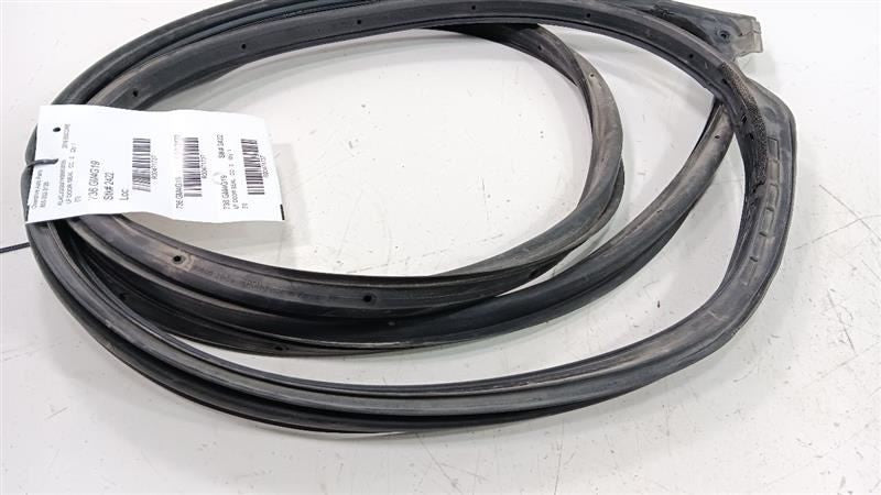 Buick Encore On Door Seal Rubber Left Driver Front 2016 2017 2018 2019