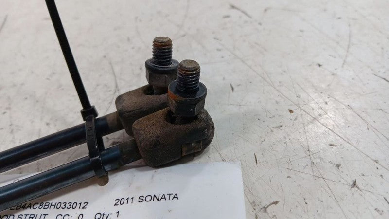 Hyundai Sonata Hood Strut Shock Support 2011 2012 2013 2014
