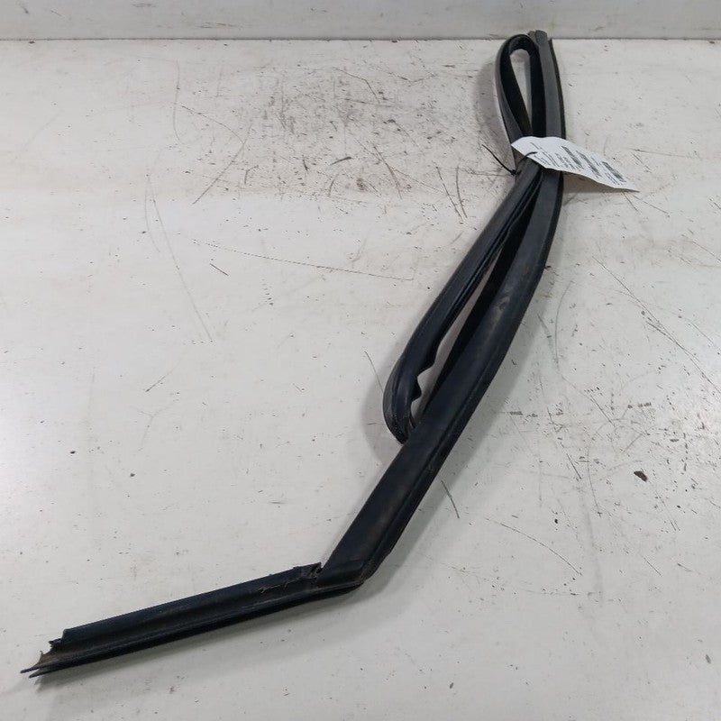Ford Escape Door Glass Window Seal Rubber Right Passenger Front  2019 