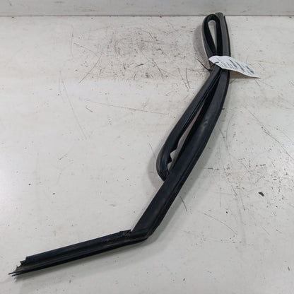 Ford Escape Door Glass Window Seal Rubber Right Passenger Front  2019 