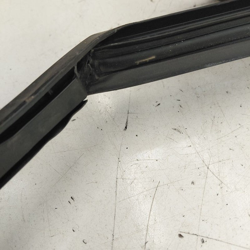 Chevy Volt Door Glass Window Seal Rubber Right Passenger Front  2019 2