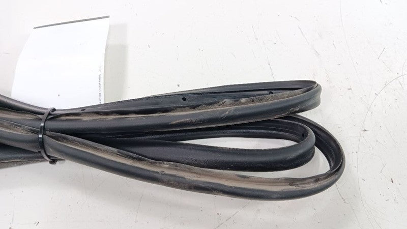Chevrolet Equinox On Door Seal Rubber Left Rear Back 2018 2019 OEM
