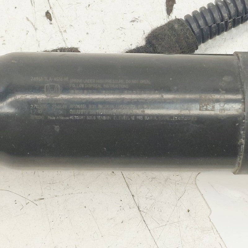 Honda CR-V Driver Left Hatchback Hatch Back Trunk Lid Shock Strut Supp