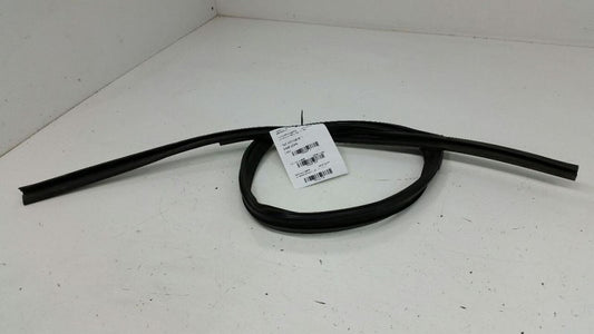Honda Accord Door Glass Window Seal Rubber Gasket Left Rear Back 2006 2007 OEM