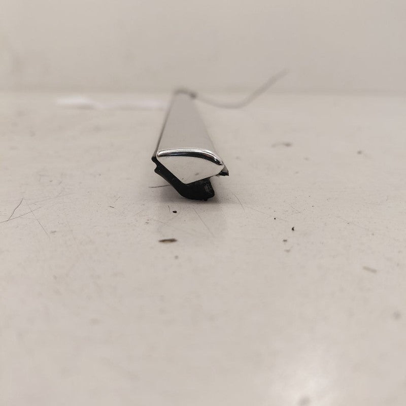 Volvo S60 Door Glass Window Weather Strip Trim Front Left Driver  2013