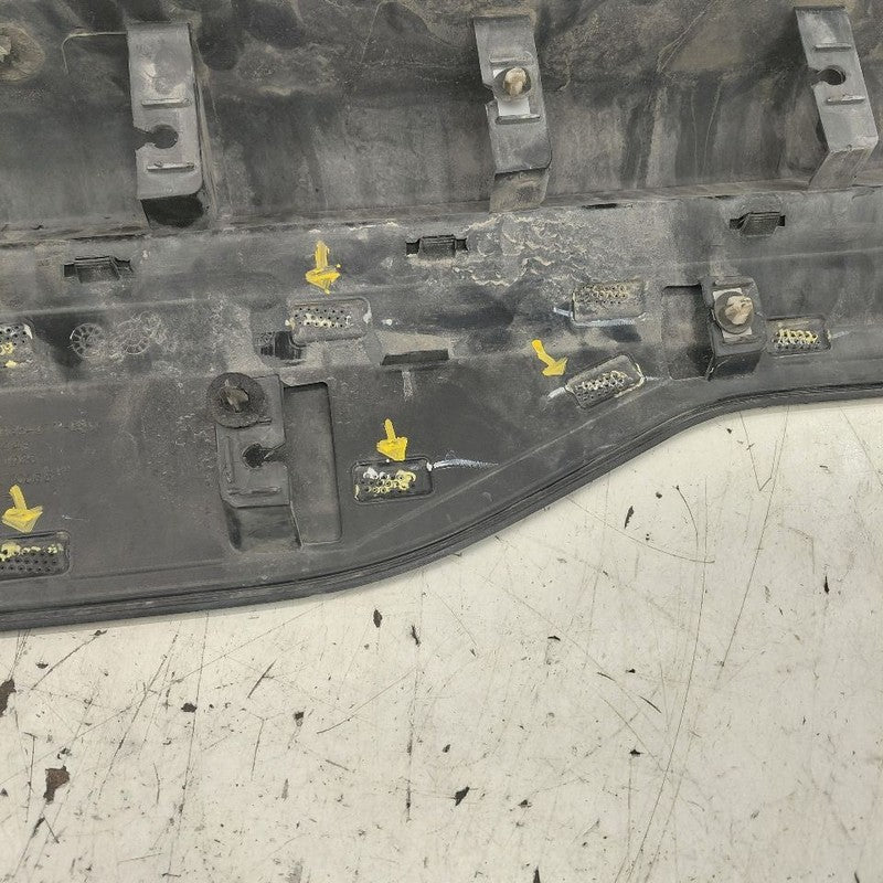 Ford Edge Door Molding Trim Strip Left Driver Side Rear Back 2019 2020