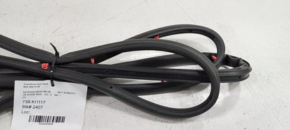 Kia Sorento On Door Seal Rubber Left Rear Back 2016 2017 2018 OEM
