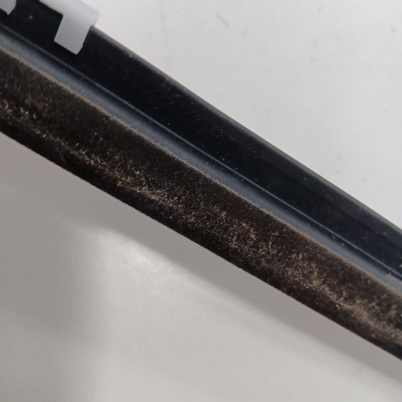 Kia Sportage Door Glass Window Weather Strip Trim Rear Left Driver Bac