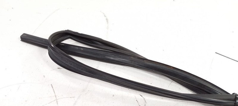 Subaru Tribeca Door Glass Window Seal Rubber Right Passenger Front 201