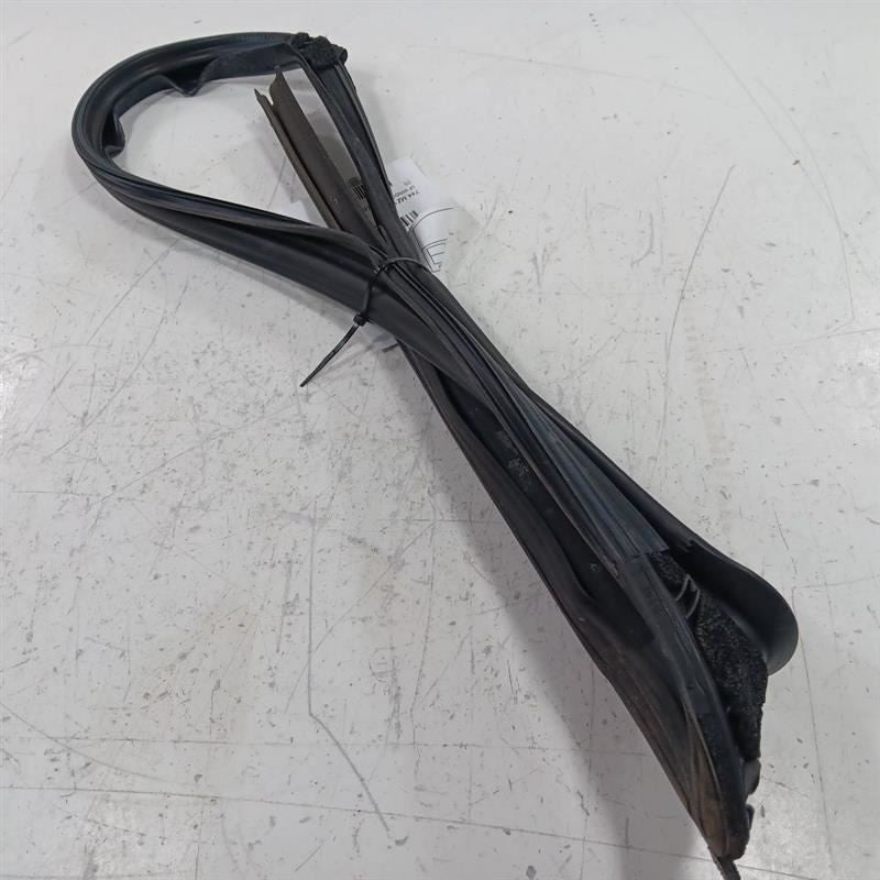 Mazda CX-3 Door Glass Window Seal Rubber Left Driver Front  2016 2017 