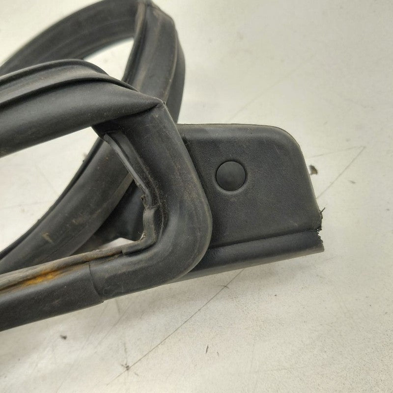 Hyundai Veloster On Door Seal Rubber Left Driver Front  2017 2016 2015