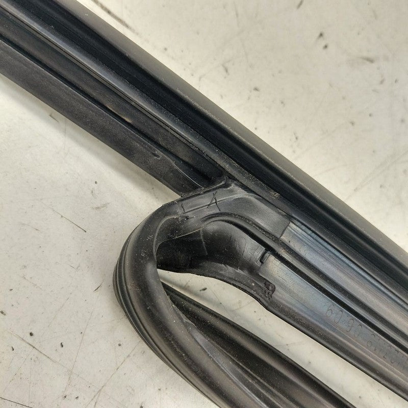 Chevy Volt Door Glass Window Seal Rubber Right Passenger Front  2019 2