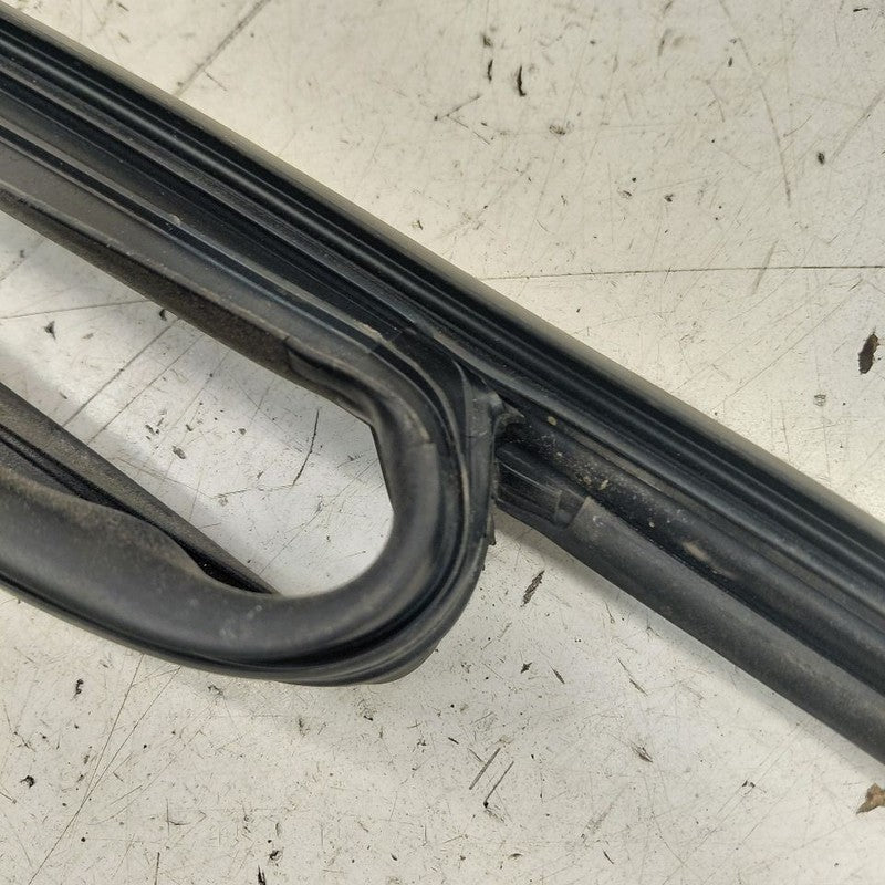 Chevy Volt Door Glass Window Seal Rubber Left Driver Front  2019 2018 
