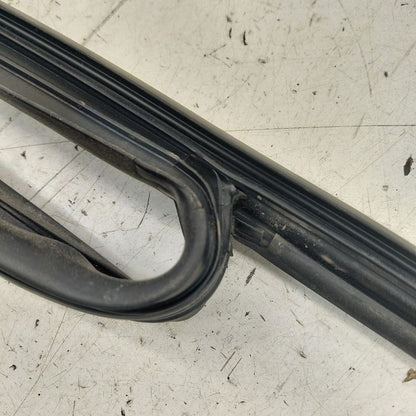 Chevy Volt Door Glass Window Seal Rubber Left Driver Front  2019 2018 