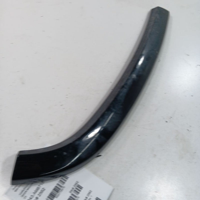 Grand Cherokee Door Molding Trim Strip Left Driver Side Rear Back 2017