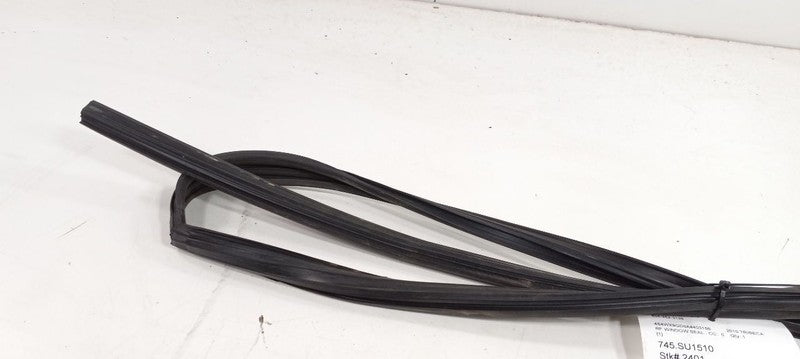 Subaru Tribeca Door Glass Window Seal Rubber Right Passenger Front 201