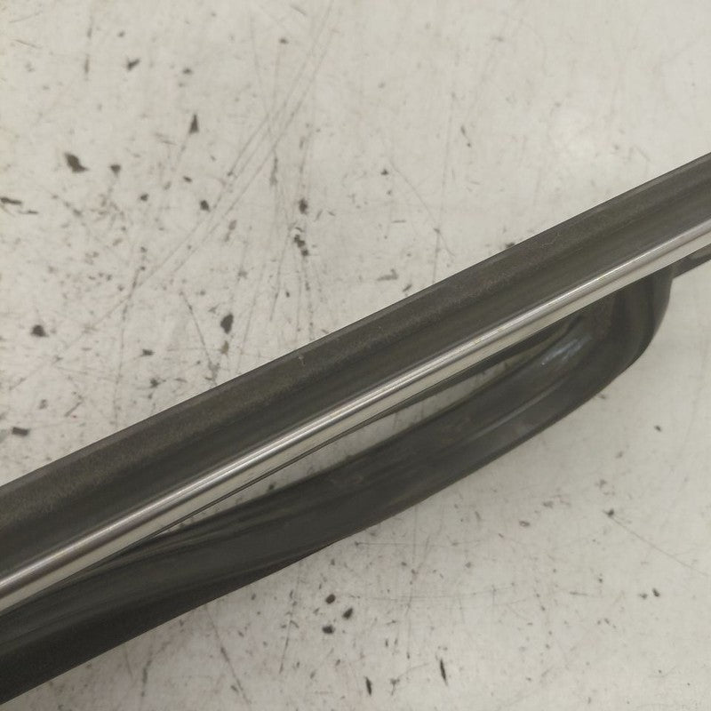 Ford Edge Door Glass Window Seal Rubber Right Passenger Rear Back 2018