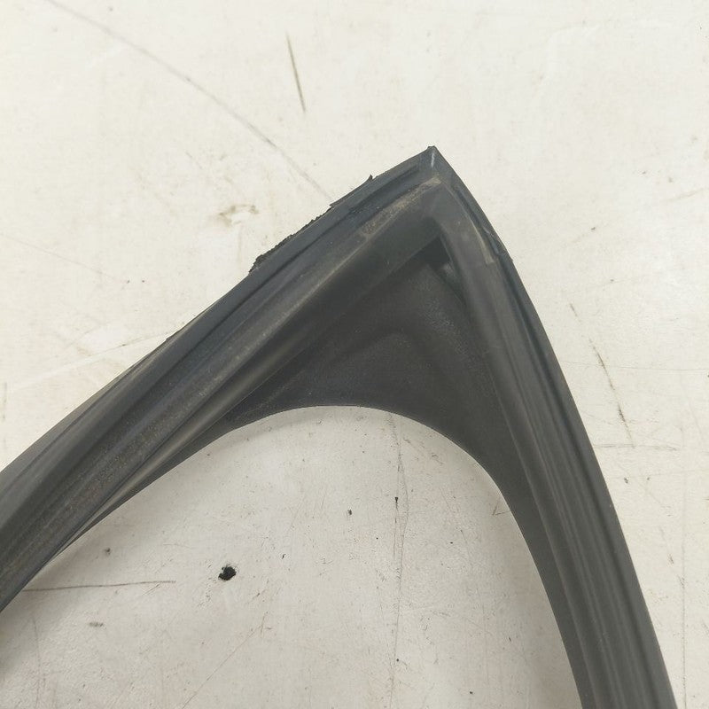 Hyundai Kona Door Glass Window Seal Rubber Left Driver Rear Back  2021