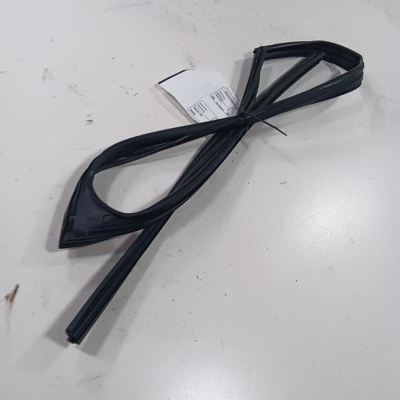 Nissan Altima Door Glass Window Seal Rubber Left Driver Front 2023 202
