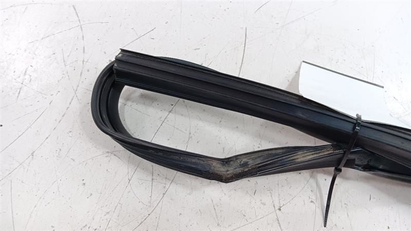 Hyundai Sonata Door Glass Window Seal Rubber Right Passenger Rear Back