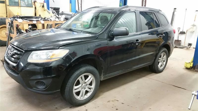 824210W011 Passenger Right Front Door Glass Window Fits 10-12 SANTA FE