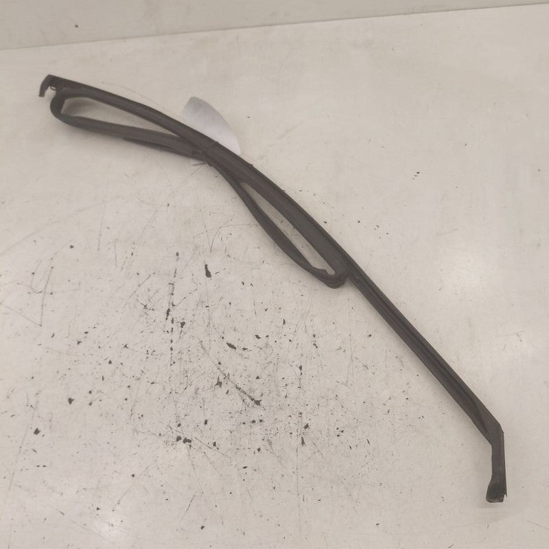Hyundai Santa Fe Door Glass Window Seal Rubber Left Driver Front  2019